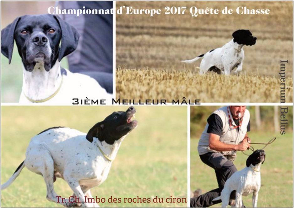 Imperium Bellus - Imbo au Championnat d'Europe de Quête de Chasse