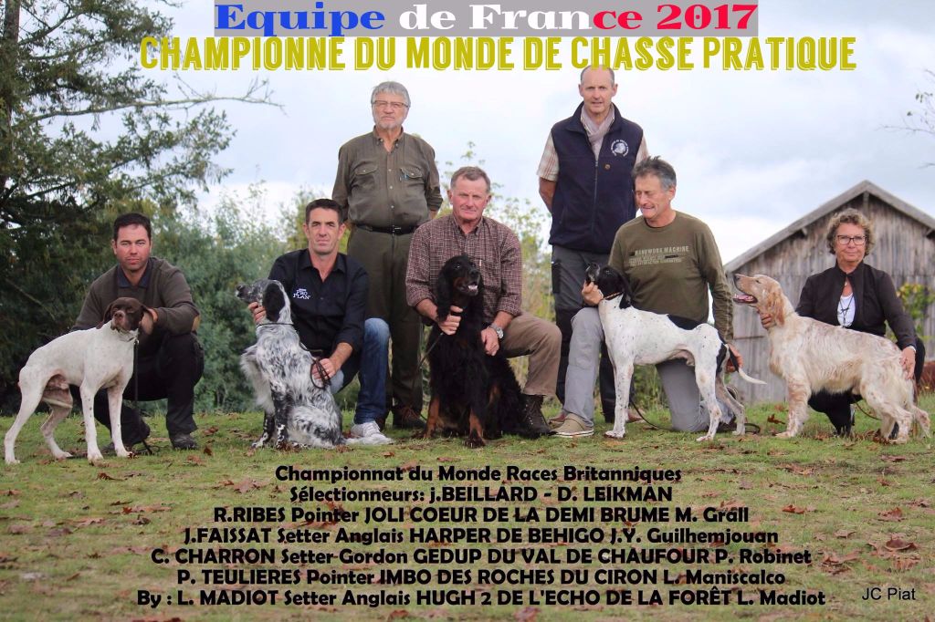 Imperium Bellus - Champion du Monde de Chasse Pratique 